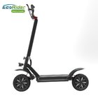 EcoRider E4-9 fast speed dual motor electric scooter,competetive than Dualtron II Limited Fast Scooter