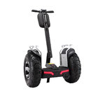 21inch Off Road Double Battery Two Wheel Electric Scooter Segway Self Balancing Scooter
