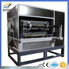 Fully automatic recycling waste paper egg tray machine with best price