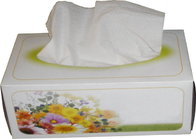Box Facial Tissue/Tissue