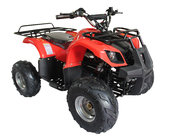 China High Speed 48V or 60V Electric Quad ATV four wheel with Chain or Gear Transmission distributor