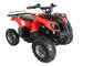 cheap High Speed 48V or 60V Electric Quad ATV four wheel with Chain or Gear Transmission