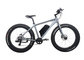 cheap Fat Tire MTB Electric Bicycle with 350W Motor , Suitable for Snowy Road / Sandy Beach