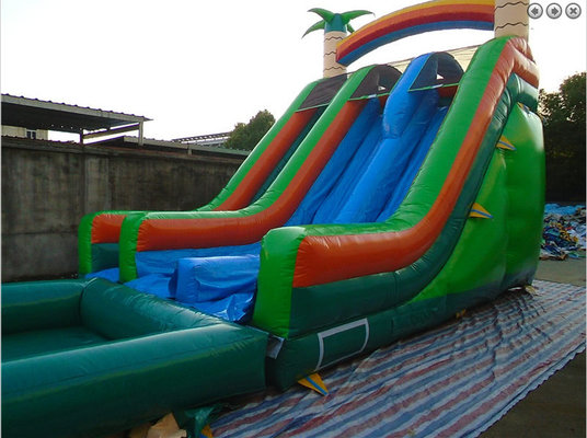 PVC 0.55mm 18oz Inflatable Dual Lane Tropical Water Slide Inflatable slide commercial inflatable water slides for kids
