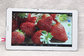 9&quot; A23 GSM Tablet PC build in 2G android 4.4 OS 512MB 8GB dual camera supplier