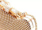 Mini Size Fashion Women Mesh Evening Bags Cat Shape And Bow Closure supplier