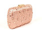 Bling Champagne Rhinestone Clutch Evening Bag , Hot Fixed Box Clutch Evening Bags supplier