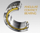 Stainless Steel Double-row Angular Contact Ball Bearing S5208 2RS, S5208 ZZ
