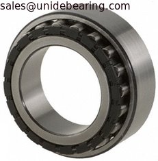 China Super precision double row cylindrical roller bearing NN3009KTN/SP,with nylon cage supplier