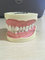 Top Quality Dental Manikin Head with Torso for Dental Chair supplier
