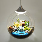 DIY FISH TANK AND PLANTS GLASS LAMPCHILDREN LOVELY LIGHT，Protect eyesight LAMP，succulent plants lamp,usb plug wire lamp