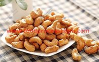 cashew nut process line| cashew nut roasting machine|cashew nut frying machine|cashew nut coating machine