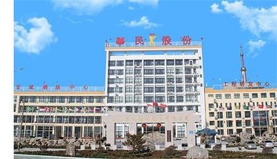 Shandong Huamin Steel Ball Joint-Stock Co.,Ltd.