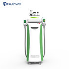 2019 For professional salon use Nubway  5 handles  Cryolipolysis slimming machine fat freeze body slimming machine
