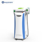 Latest technology heat & cooling circle cryogenic treatment freeze fat cells cryotherapy machine