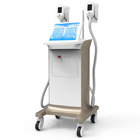 Low temperature frozen fat melting cryolipolysis body slimming machine for sale