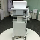 Beauty center use high intensity focuse 15 inch 300w ultrasound face lift machine with CE FDA approved