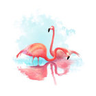 Animal Flamingo Fashion Body Art Fake Tattoo Waterproof Temporary Tattoo Sticker