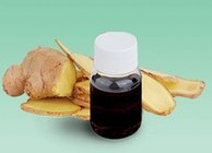Hot-selling Manufactory Top Quality Ginger essential Oil