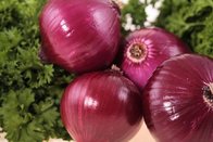 Fresh types red onions / Chinese Red Onion