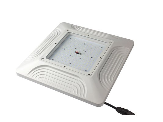 China Recessed Mounted 100W  LED Gas Station Canopy Lamp, IP65, Meanwell driver  LEDs supplier