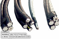 Aerial Insulated Cables with Rated Voltage 1 kV or Lower