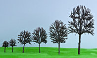 Model Tree Micro-Landscape Decoration Resin Crafts Haobang Simulation Tree Sand Table Model Tree Simulation Tree Camphor