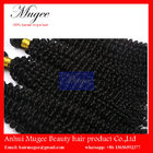 Cheap brazilian curly hair weave, unprocessed wholesale remy human hair