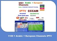 Smart Android IPTV APP With 650+ Arabic And European Channels for sale