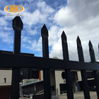 Wholesale Powder Coated Black Steel Wrought Iron Fence