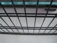 ISO CERTIFICATE School side double wire twin wires 868 PVC welded wire mesh fence