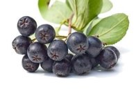 Bilberry Extract, Aronia Extract,  blueberry extract, mulberry extract, cranberry extract,  anthocyanidin, antioxidant