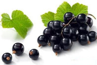 anthocyanin series: Black bean peel extract, Black rice P.E.,Black currant P.E., powerful anti-aging, 100% natural