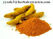 Turmeric extract,curcumin 95%,CAS .:458-37-7,Lipid-lowering,Anti-inflammatory, Lutein2% 20%,  Chinese supplier , natural