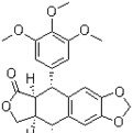 pure Picropodophyllotoxin 98%, CAS No.: 477-47-4, natural IGF-1R inhibitor, manufacturer, Shaanxi Yongyuan Bio