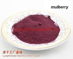 China OEM freeze dried fruits bakery food natural fruit powders supplier
