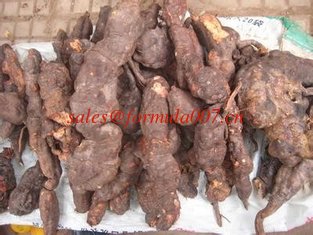 China natural bulk herbs exported supplier Polygonum multiflorum monkshood Apricot kernel supplier