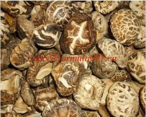 China natural organic mushroom truffle fungus farm foods supplier