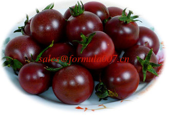 China natural organic black tomato farm foods supplier