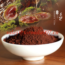 China natural Ganoderma lucidum spore broking wall tea bags supplier