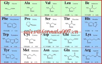 China glycine L-alanine L-arginine amino acid food grade pharma grade supplier supplier