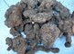 natural bulk herbs exported TCMs American ginseng Polyporus supplier