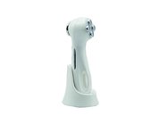 New Home using RF EMS ultrasonic multifunctional skin care beauty device with LED light