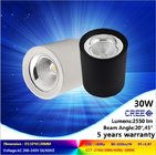 5000K/6000K 40W black or white LED downlight with high quality and lumens in low price