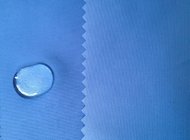 China 228t nylon coated taslon fabric company