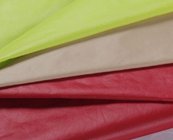 China Nylon high density waterproof downproof fabric manufacturer
