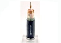 4+1 Cores XLPE Insulated Power Cable