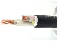 Two Core Cable | XLPE Insulation Power Cable Cu-Conductor / XLPE / PVC