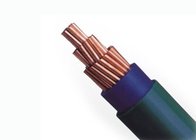 1*300 Sq Mm PVC Insulated Copper Power Cable