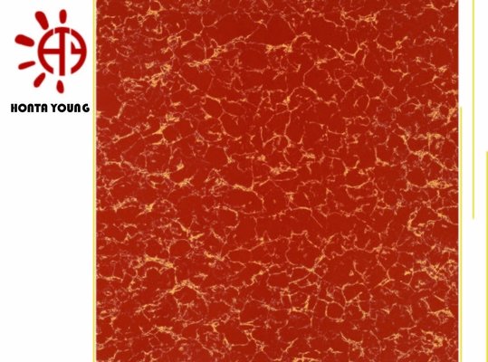 China HTY TP 600*600 800*800 Good Quality Polished Series Platti Ceramic Tile Made in Foshan Factory supplier